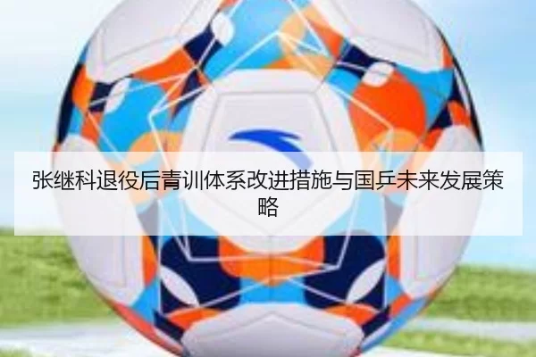 张继科退役后青训体系改进措施与国乒未来发展策略